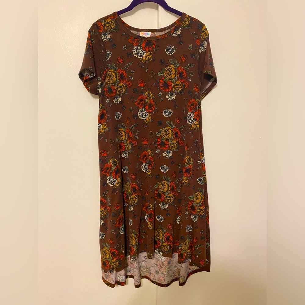 LulaRoe Carly Dress with Brown Floral